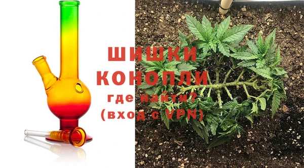 мет Новозыбков