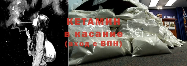 гидра Новодвинск