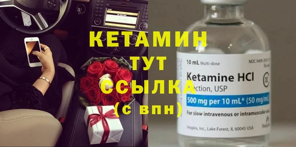 гидра Новодвинск
