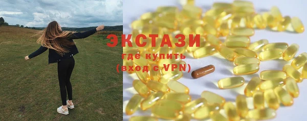 гидра Новодвинск