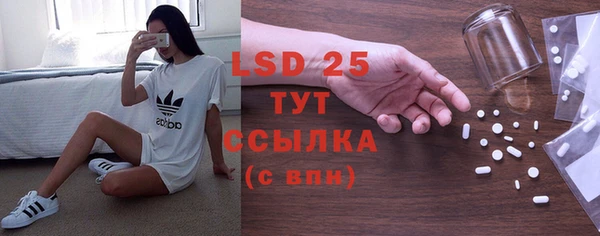гидра Новодвинск