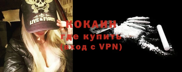 гидра Новодвинск