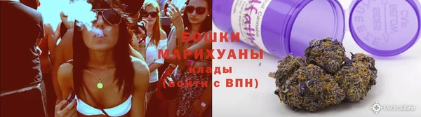 мет Новозыбков