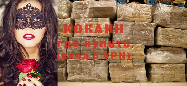 гидра Новодвинск