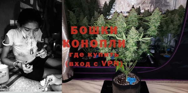 гидра Новодвинск