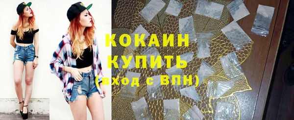 гидра Новодвинск
