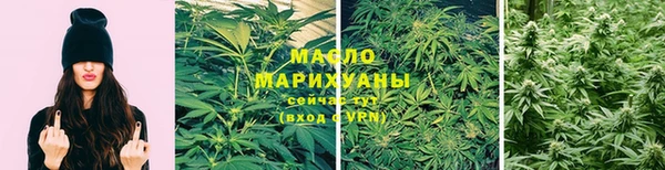 гидра Новодвинск