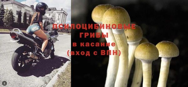 мет Новозыбков