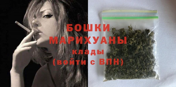 мет Новозыбков