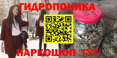 прущие крисы Кулебаки