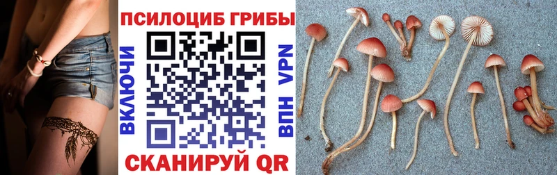 Галлюциногенные грибы GOLDEN TEACHER  Ступино 