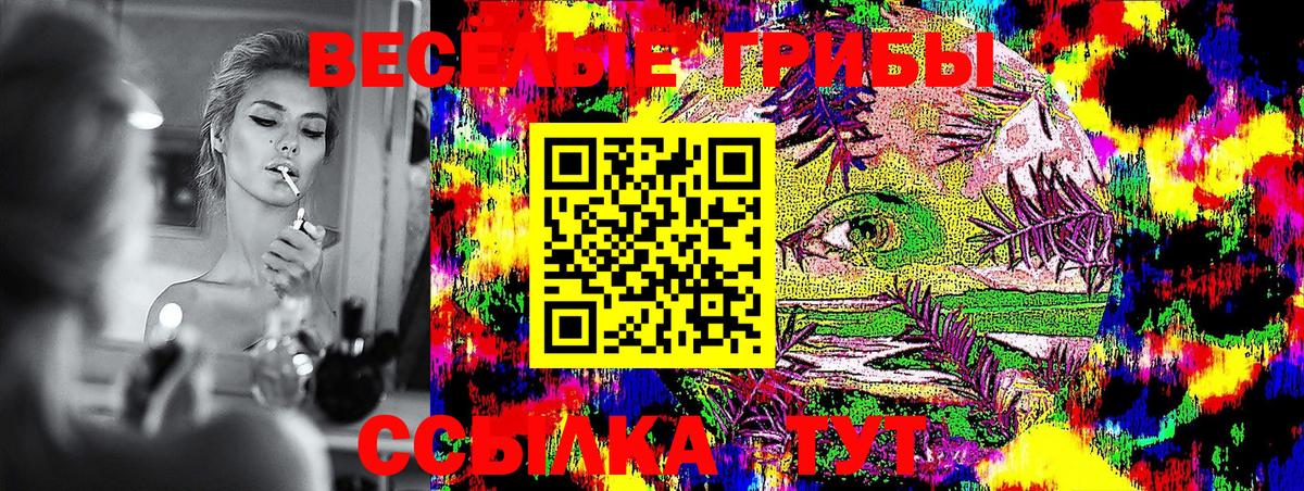 Галлюциногенные грибы Psilocybine cubensis Ступино