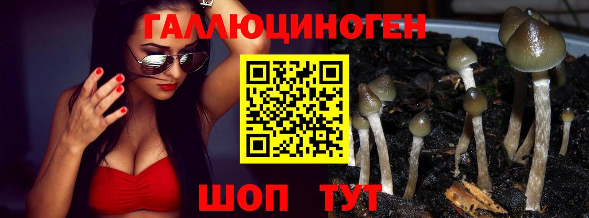 Ступино  Псилоцибиновые грибы Magic Shrooms  Галлюциногенные грибы Cubensis  Вход с VPN 